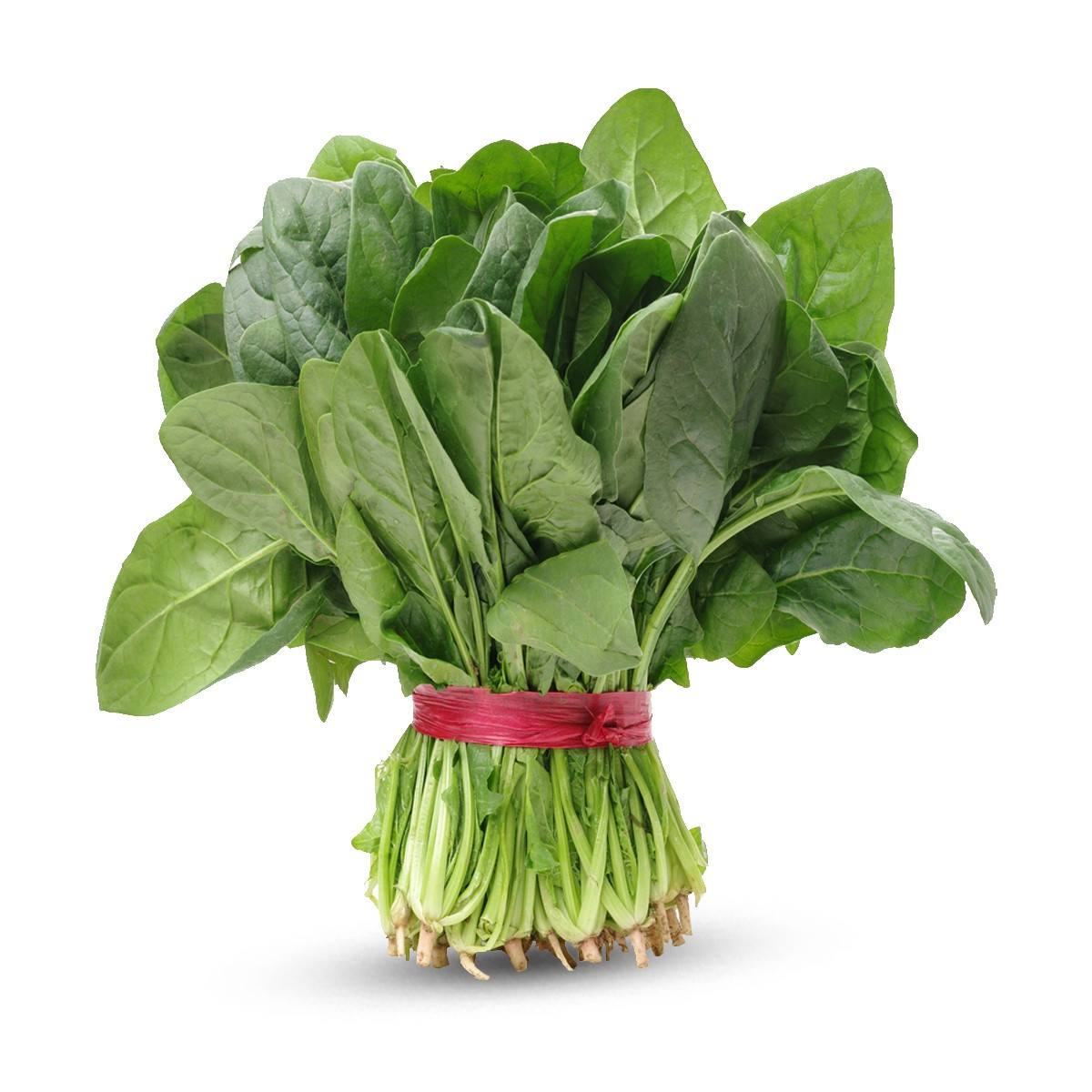 Spinaq kg/ (PLU: 249)