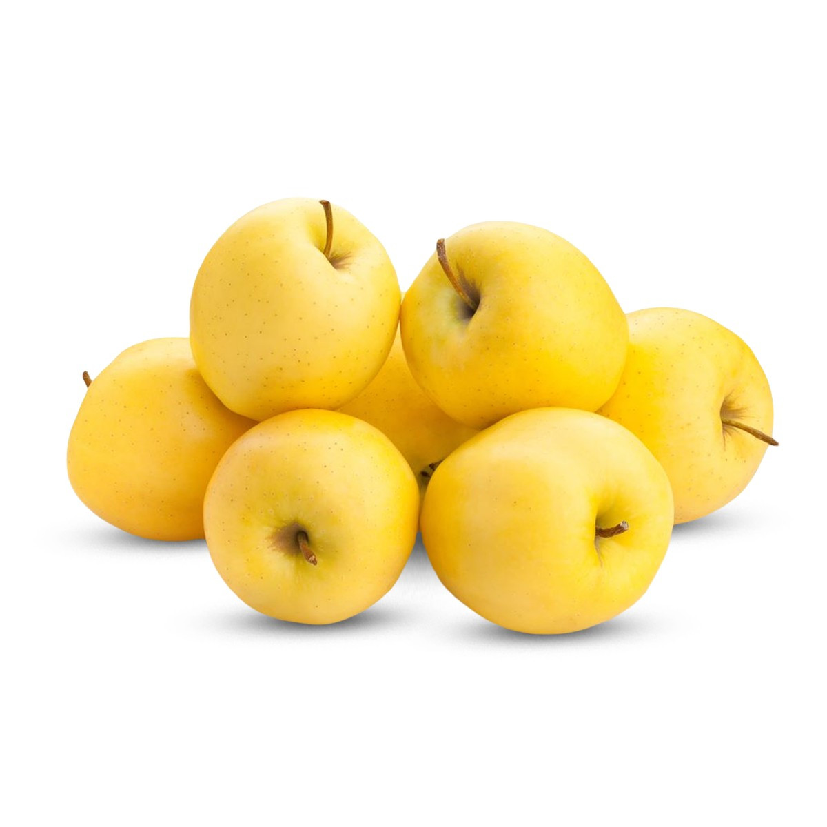 Molle Delishes I Arte Kl"I" 2064