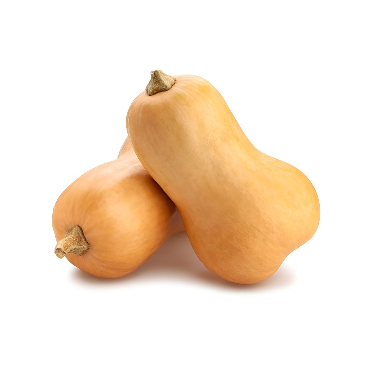 Kungull Amerikan kg 2096