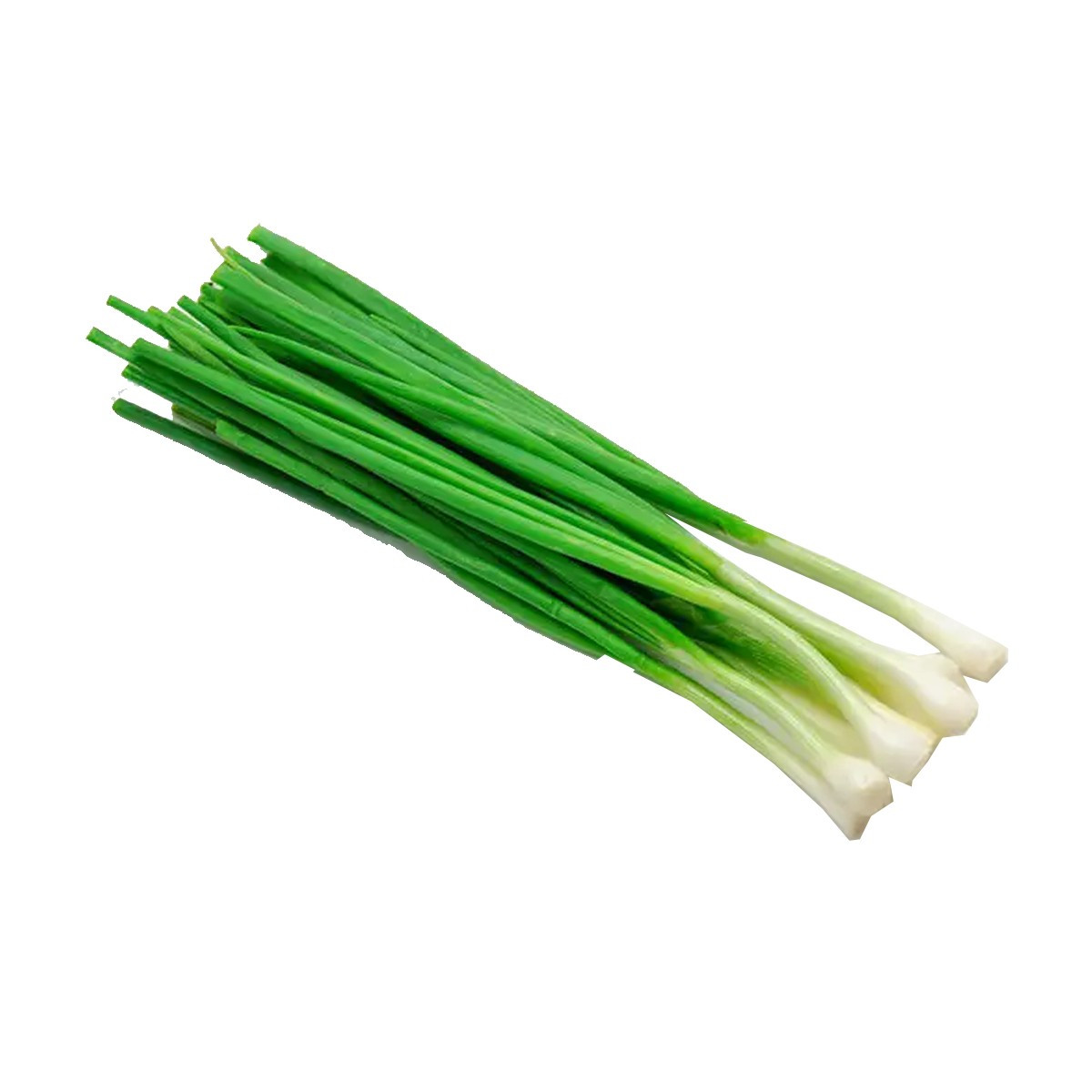 Qepe e Re cope-tube/ (KODI: 17014)